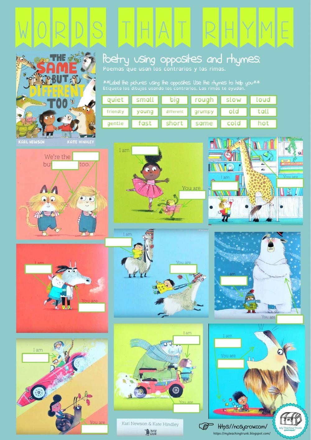 Words that rhyme-the same but different too