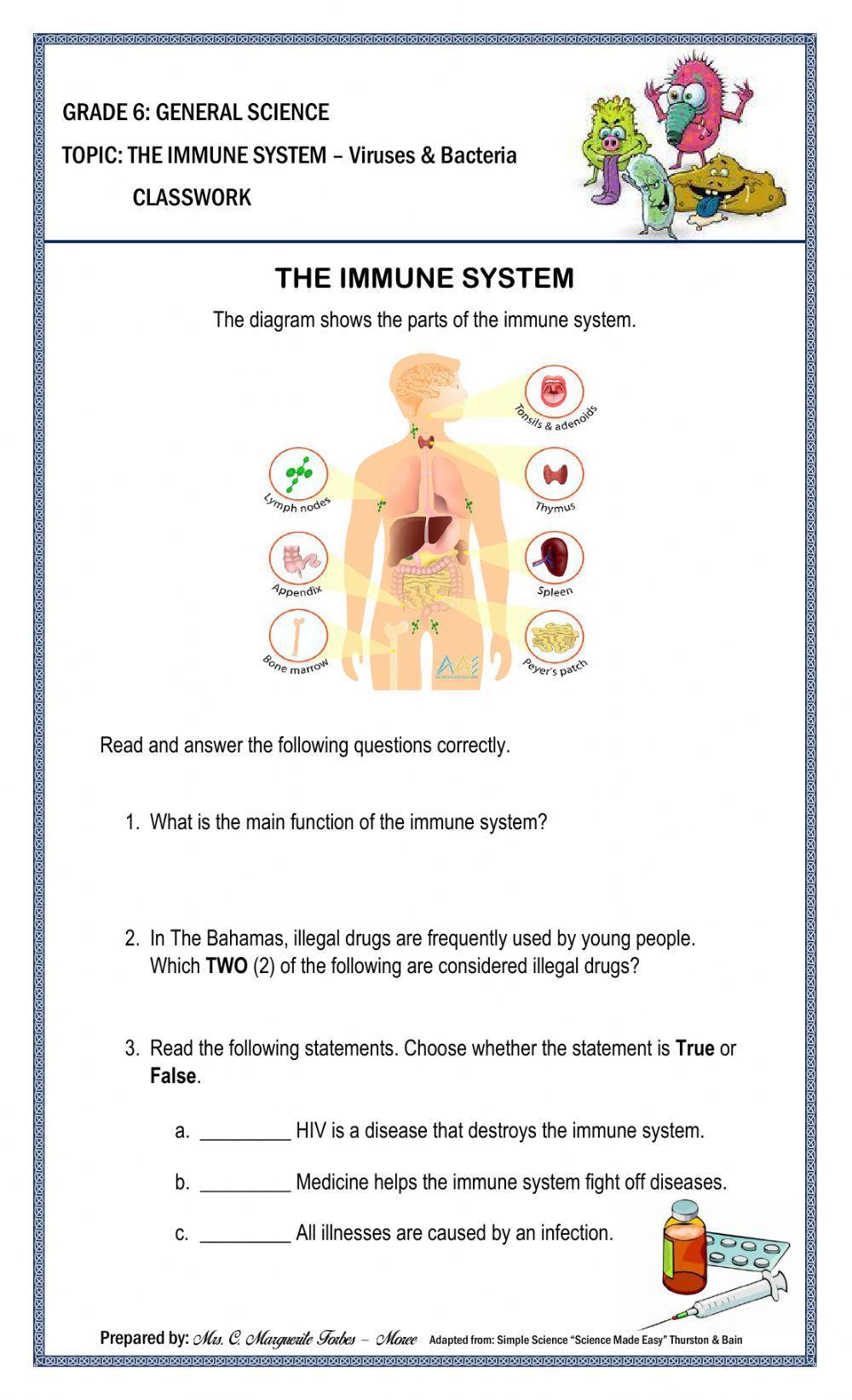 The Immune System Classwork