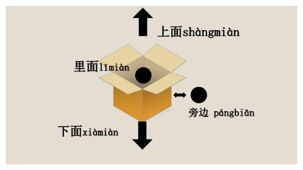 คำศัพท์ สรรพนามตำแหน่ง 我的家 ม.4
