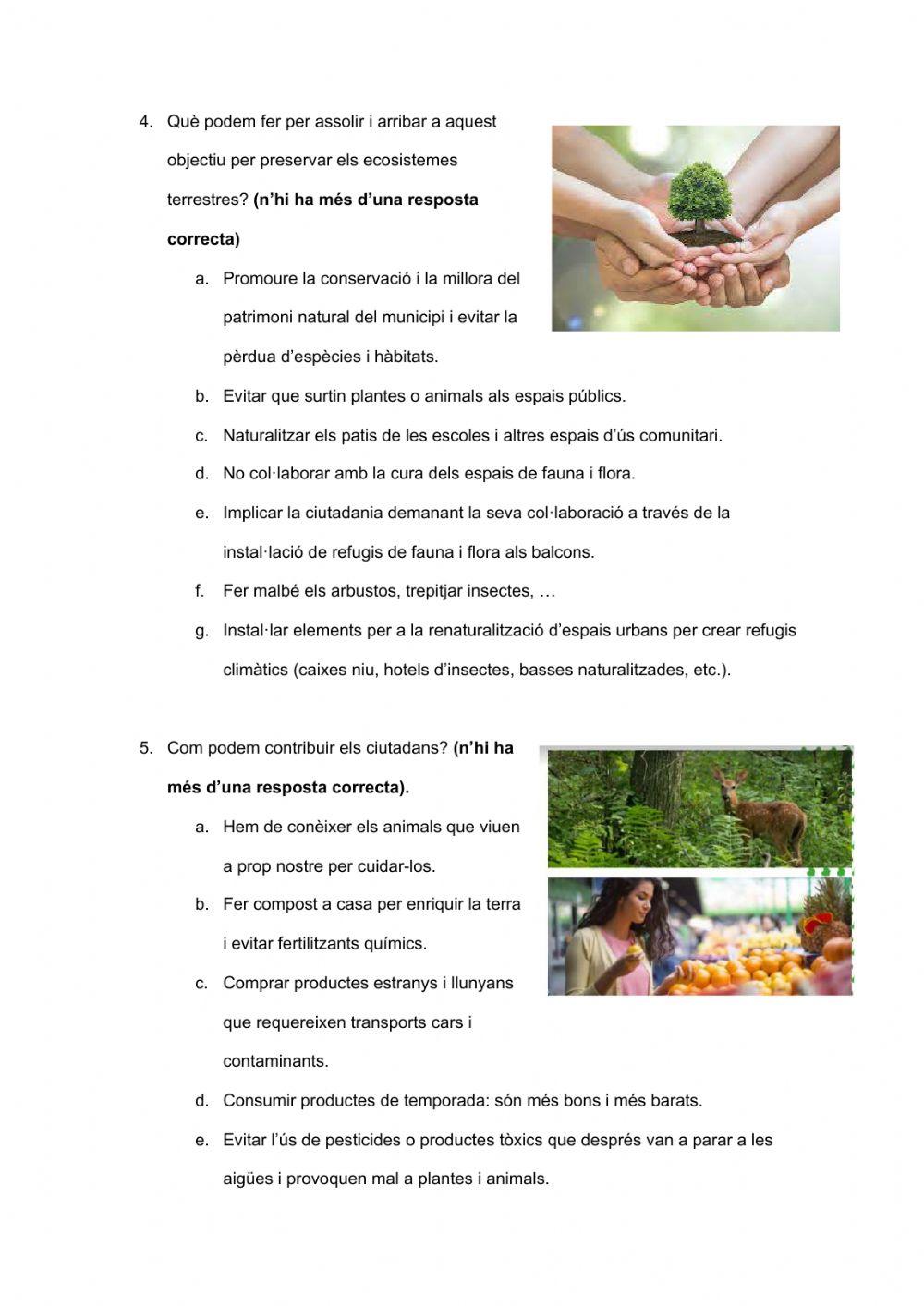 Objectiu de desenvolupament sostenible 15