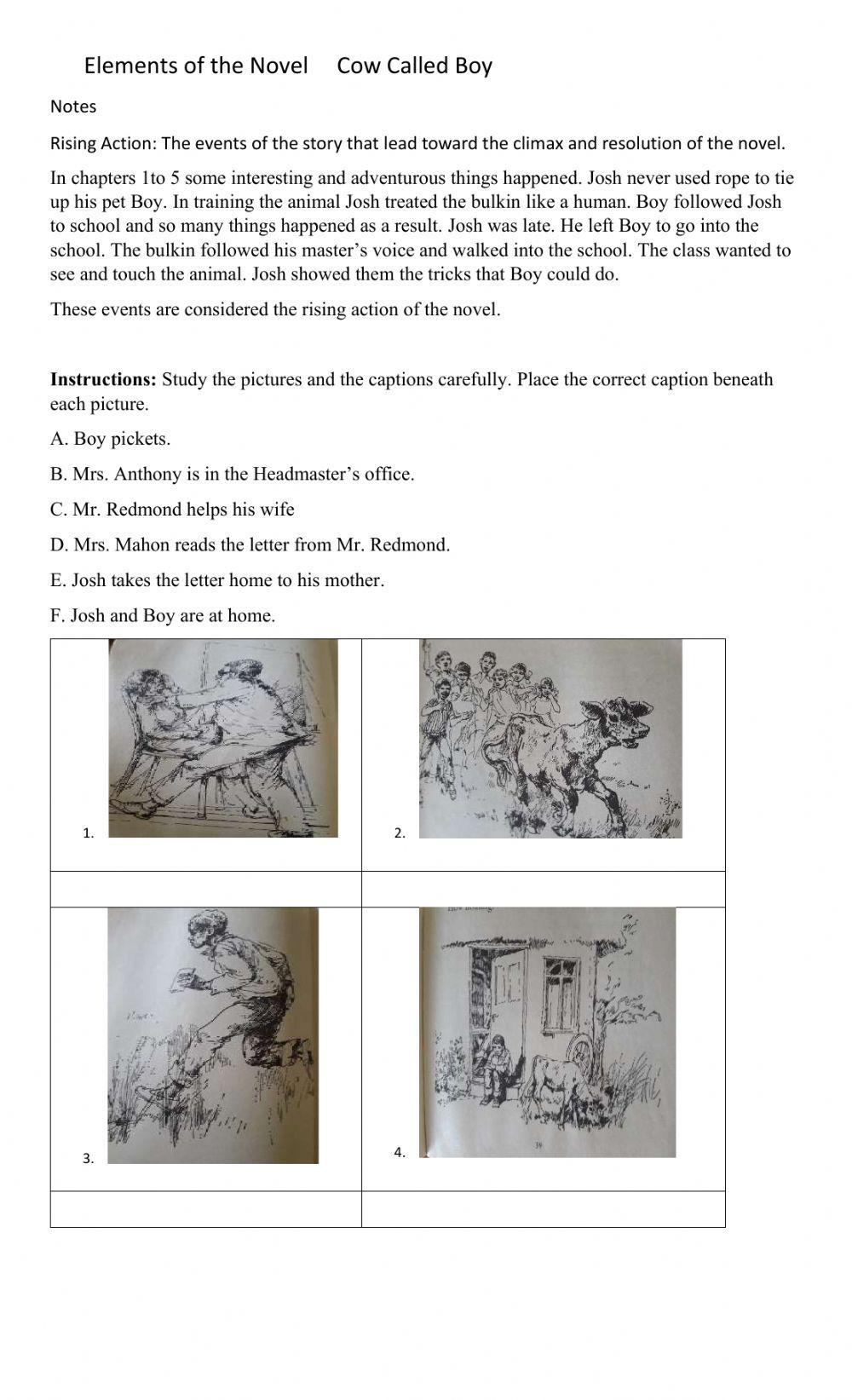 Rising Action     Novel   Cow Called Boy