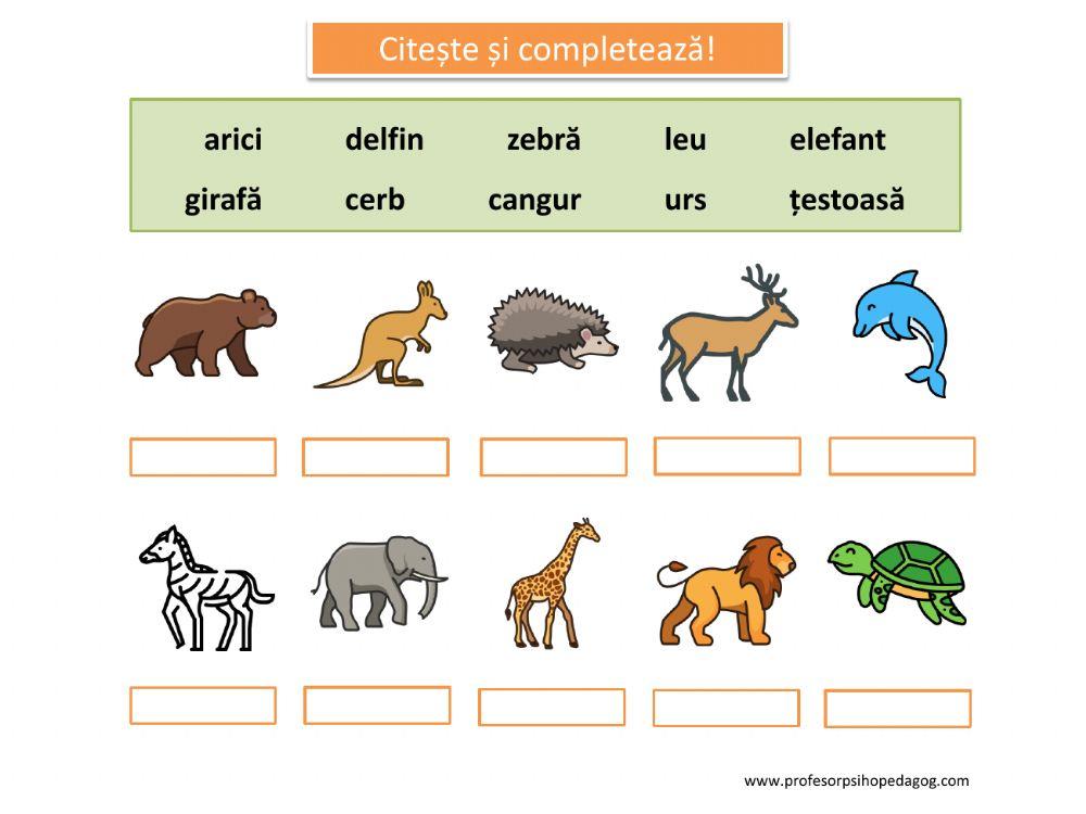 Citește și completează! (Animale sălbatice)