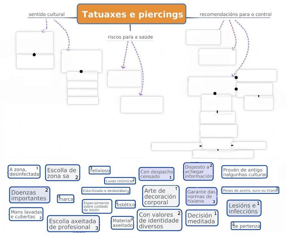 Mapa de ideas dun texto