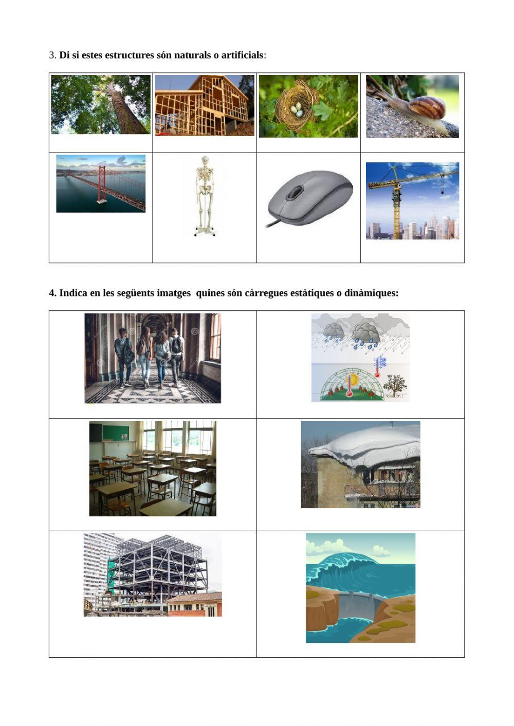 Estructures:definició, tipus i càrregues.