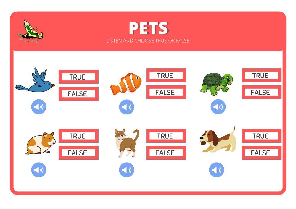 Pets true or false-2