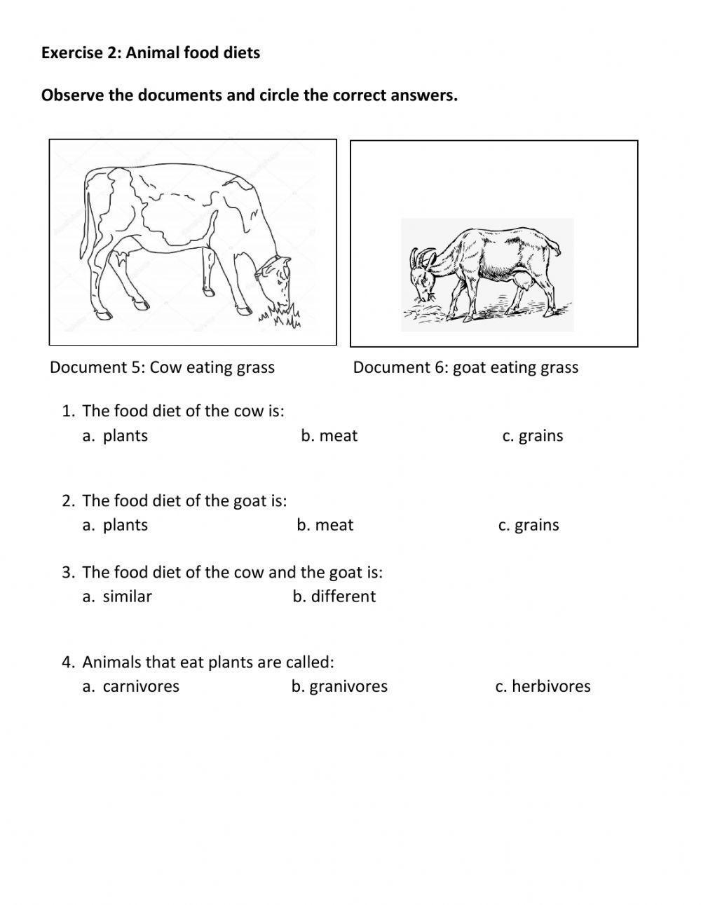 Similarities and differences between animals