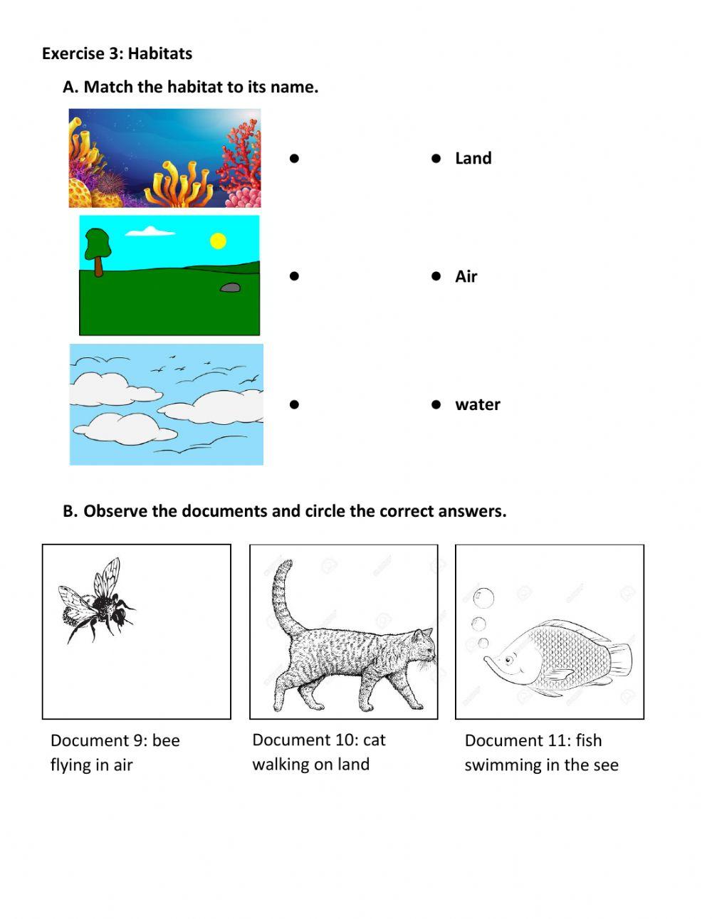Similarities and differences between animals