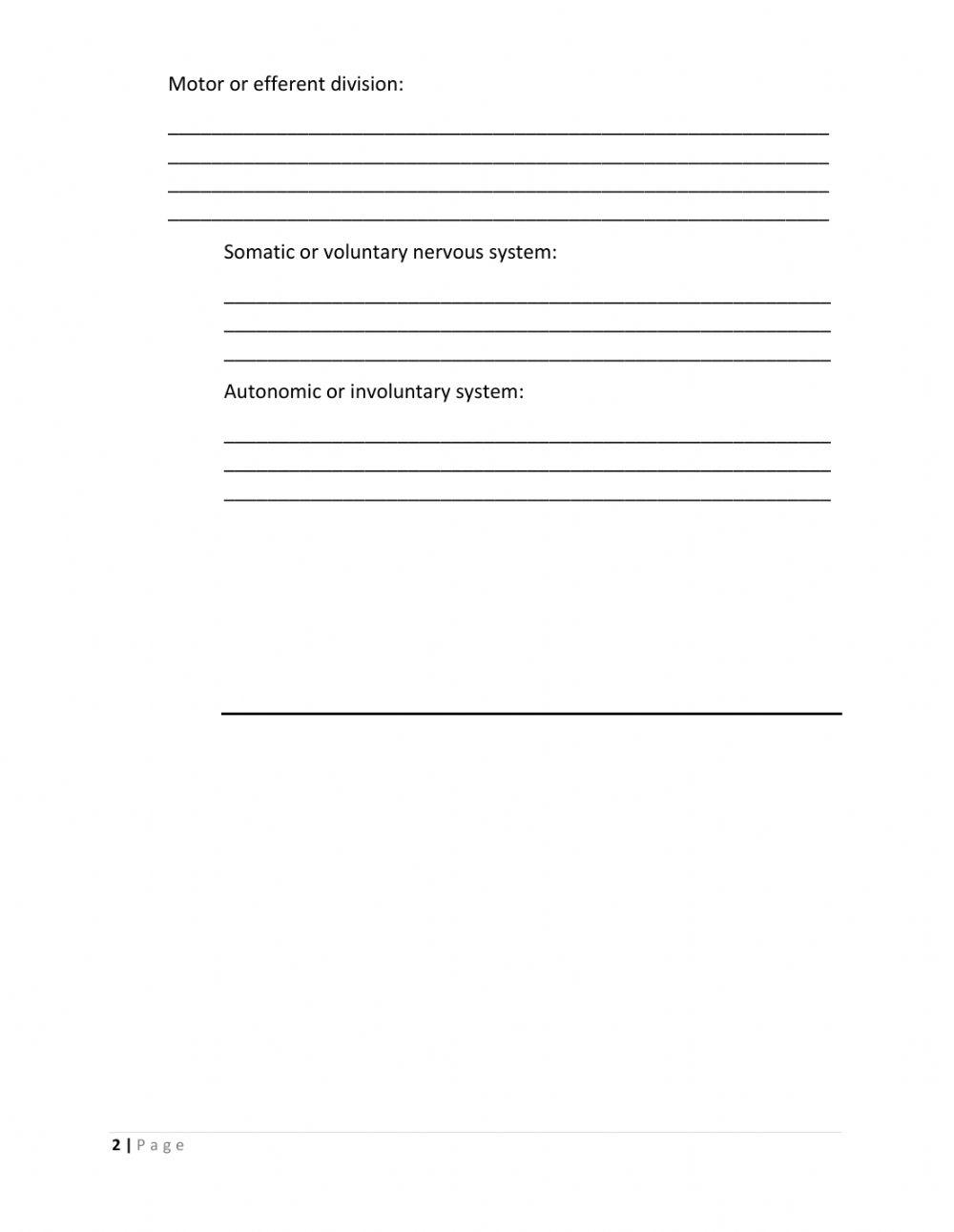 Organization of the Nervous System