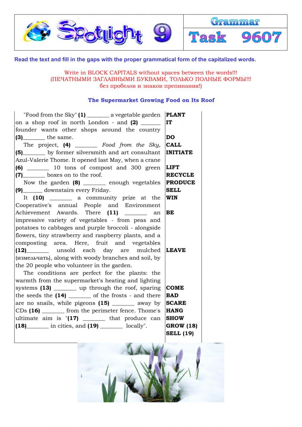 Spotlight 9 Task 9607