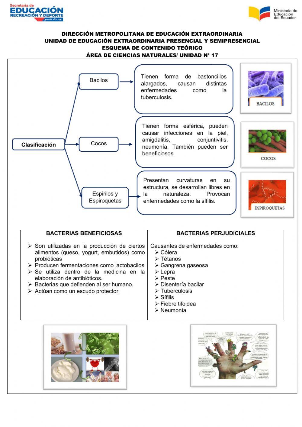 Ciencias Naturales Unidad 17