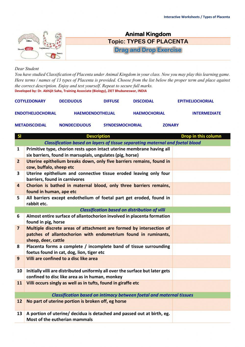 Kingdom Classification Worksheet Answer Key