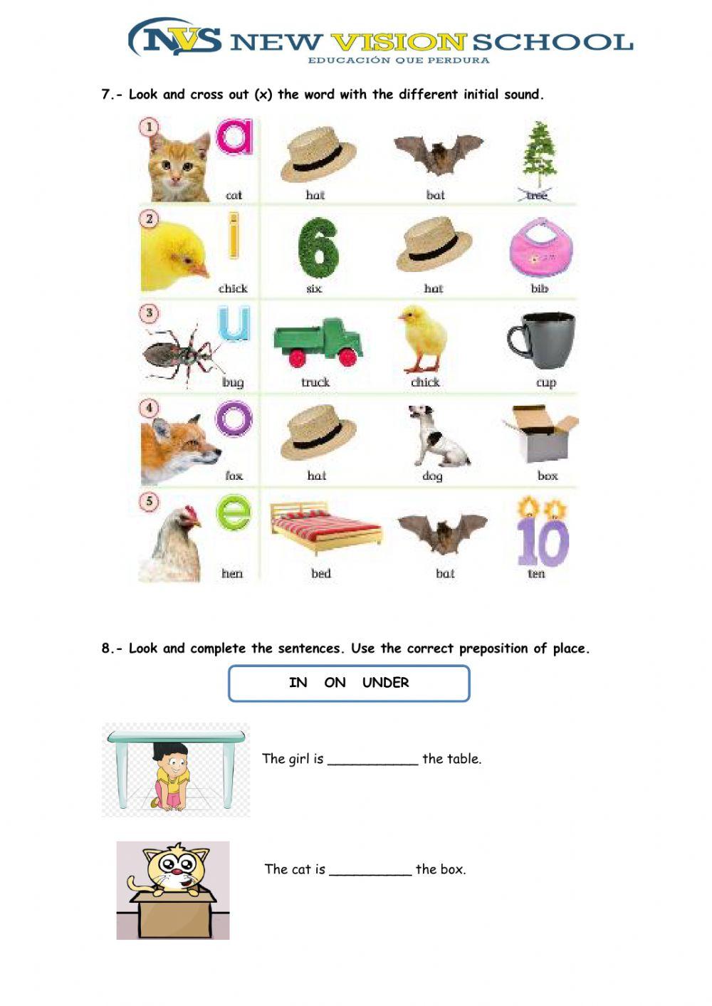Midterm Exam Second grades