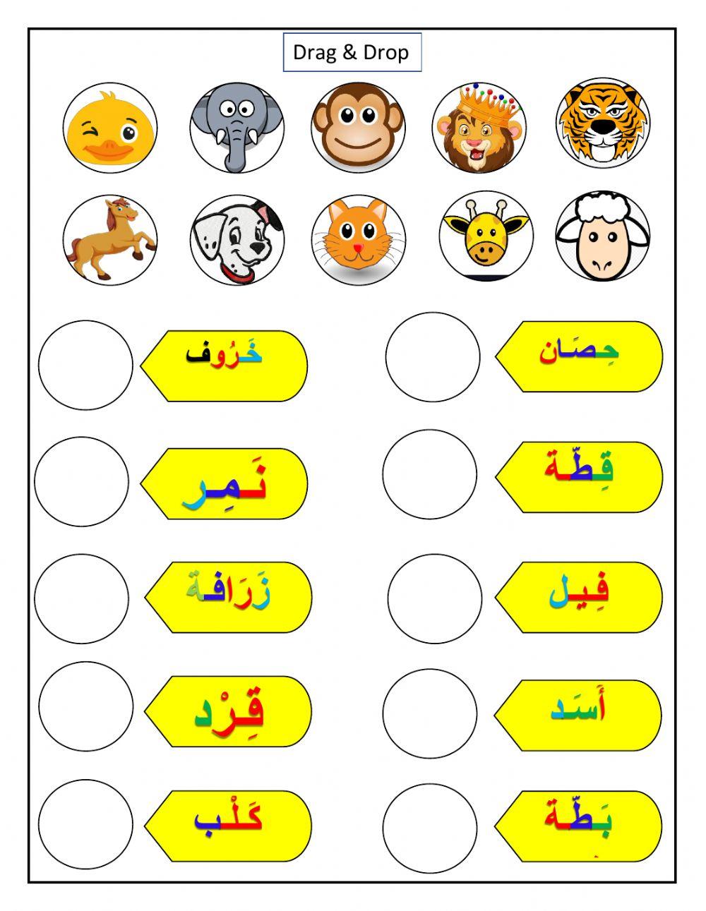 حديقة الحيوانات 5