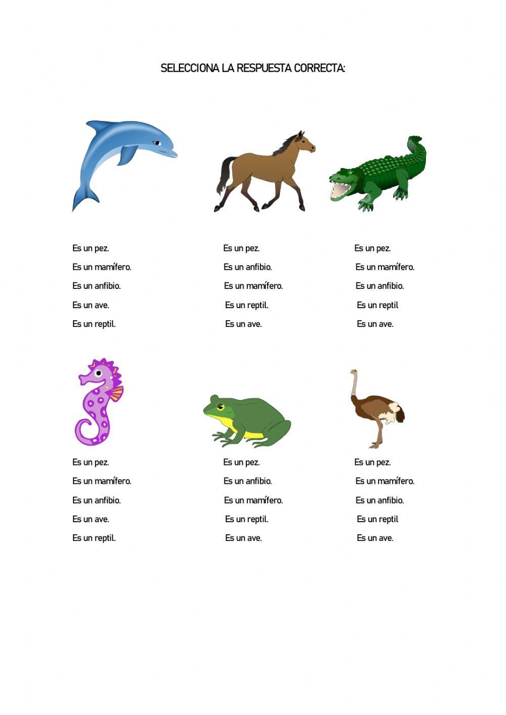 Animales vertebrados