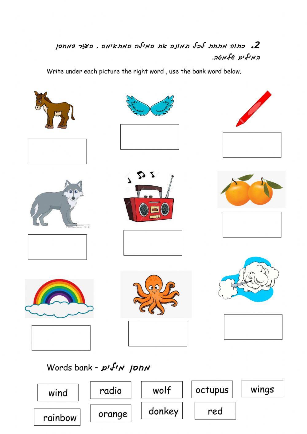 worksheet on the letters  W,D,O R