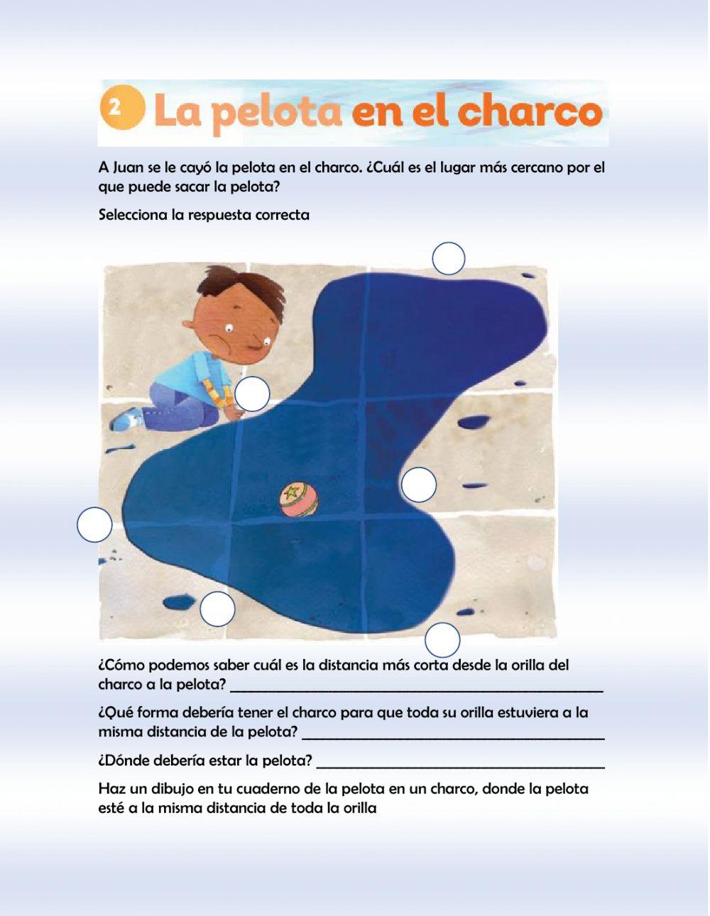 La pelota en el charco