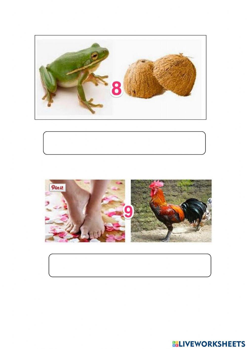 Peribahasa bergambar