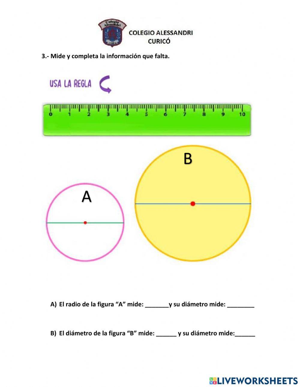 Círculo y Circunferencia