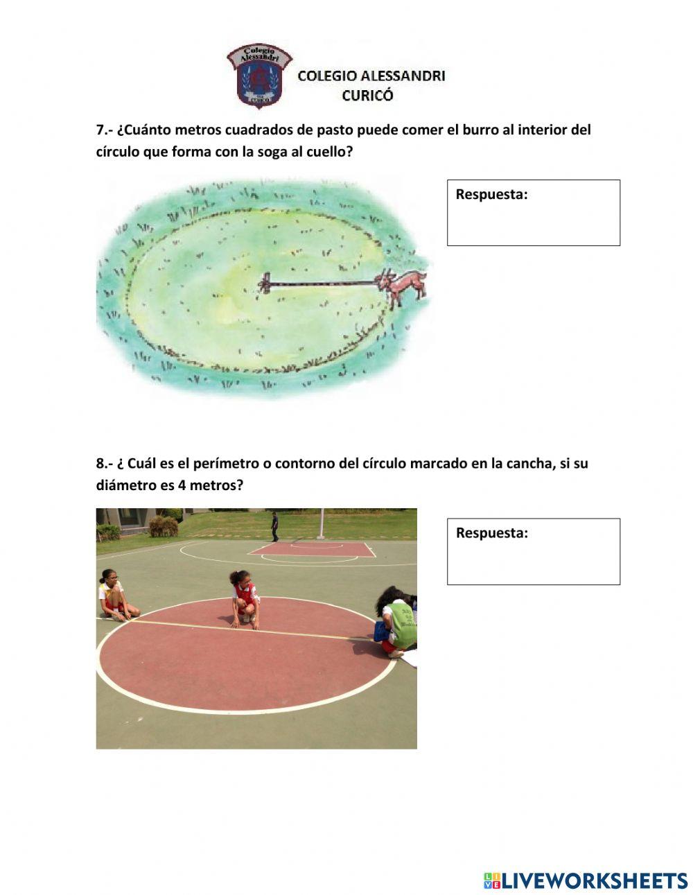 Círculo y Circunferencia