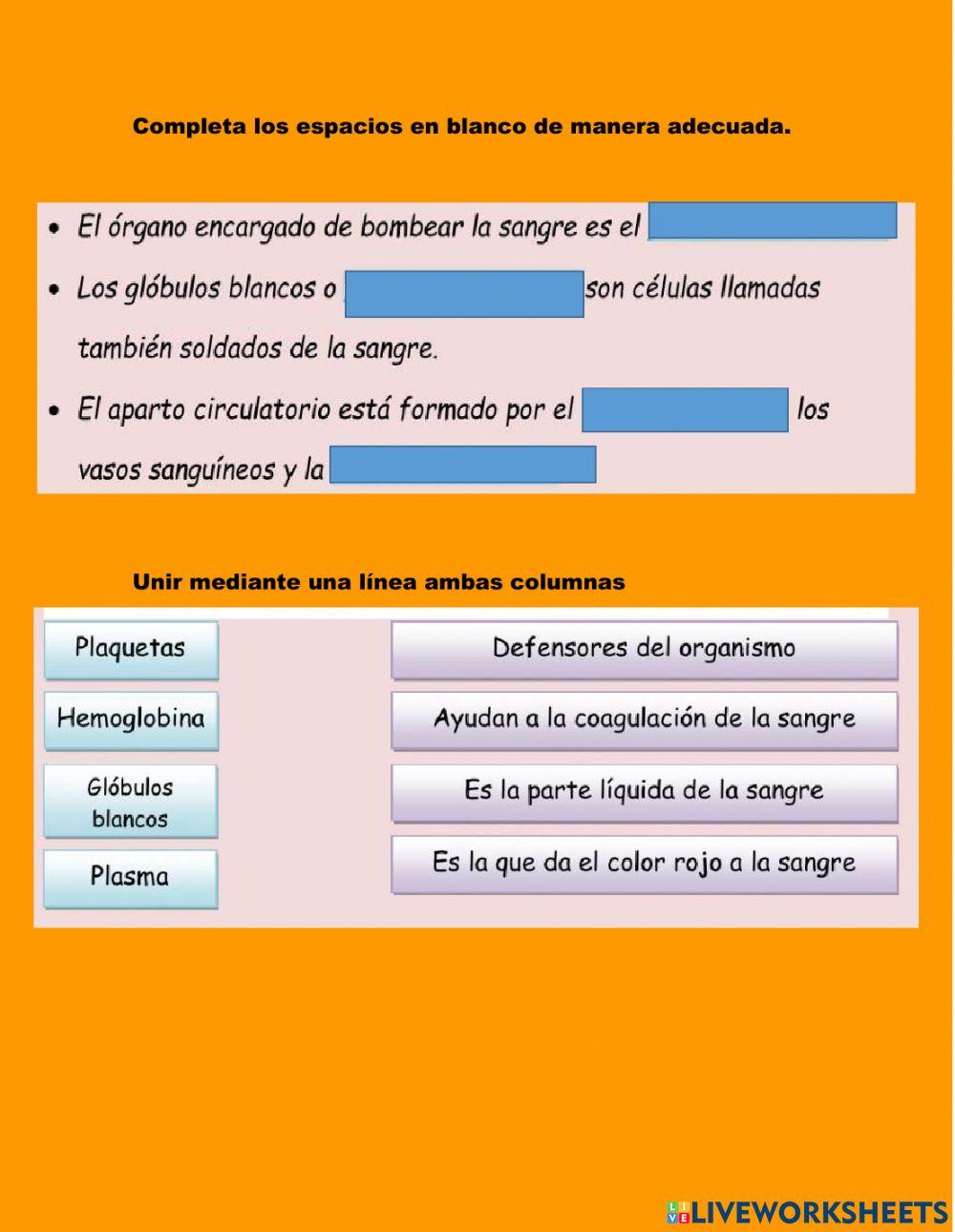 SISTEMA CIRCULATORIO