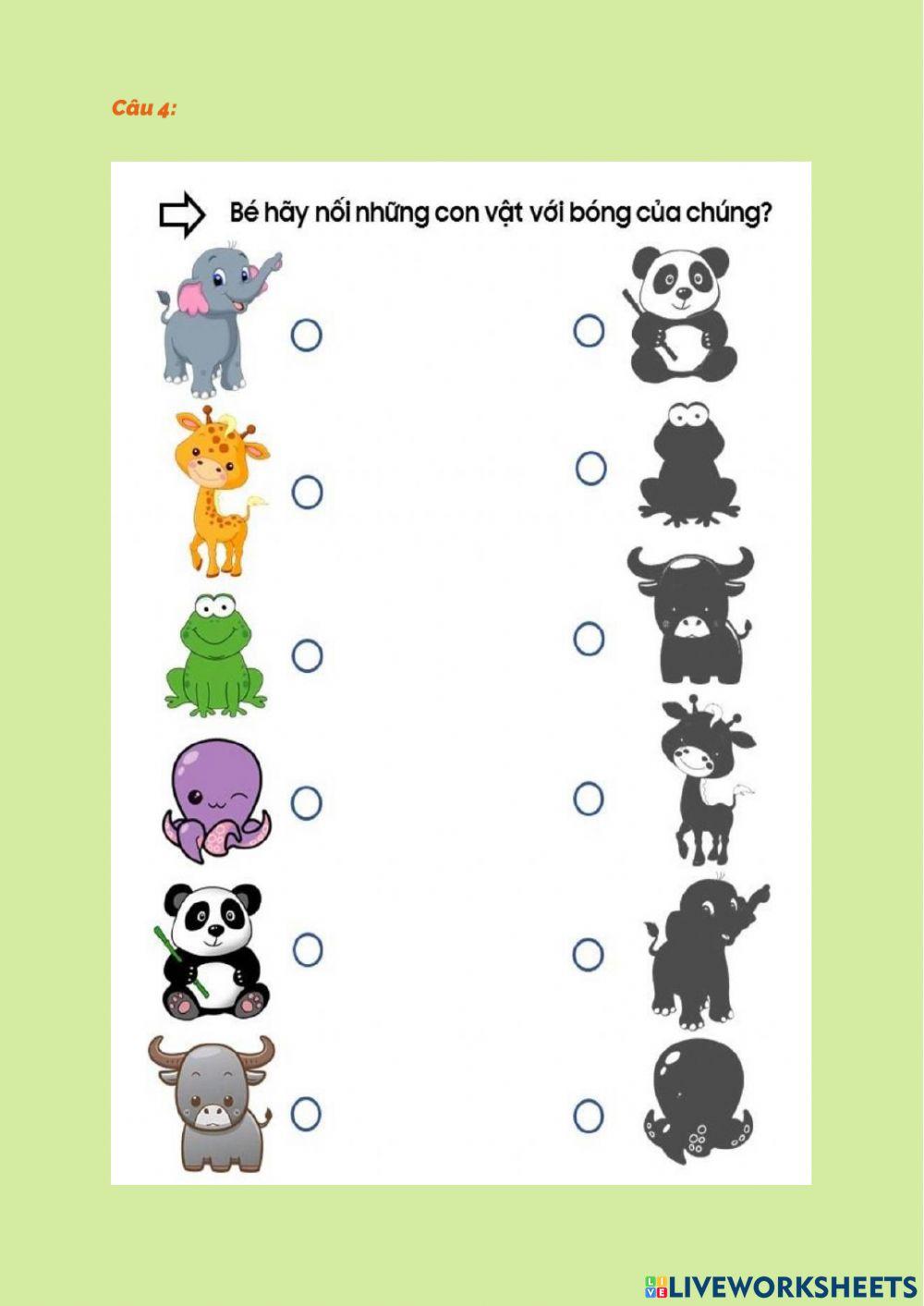 Những con vật đáng yêu