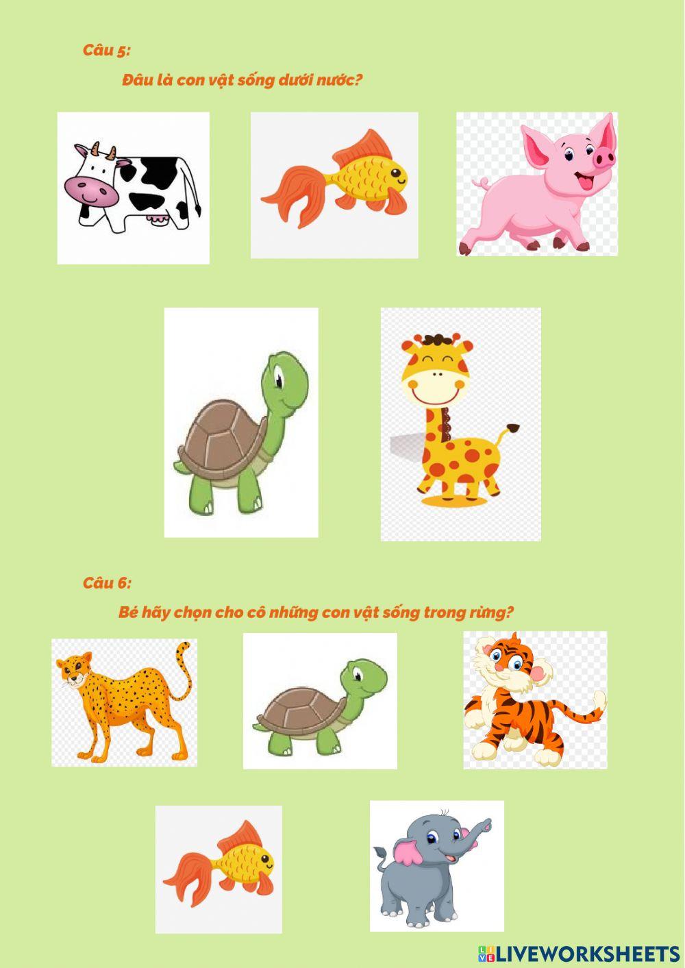 Những con vật đáng yêu