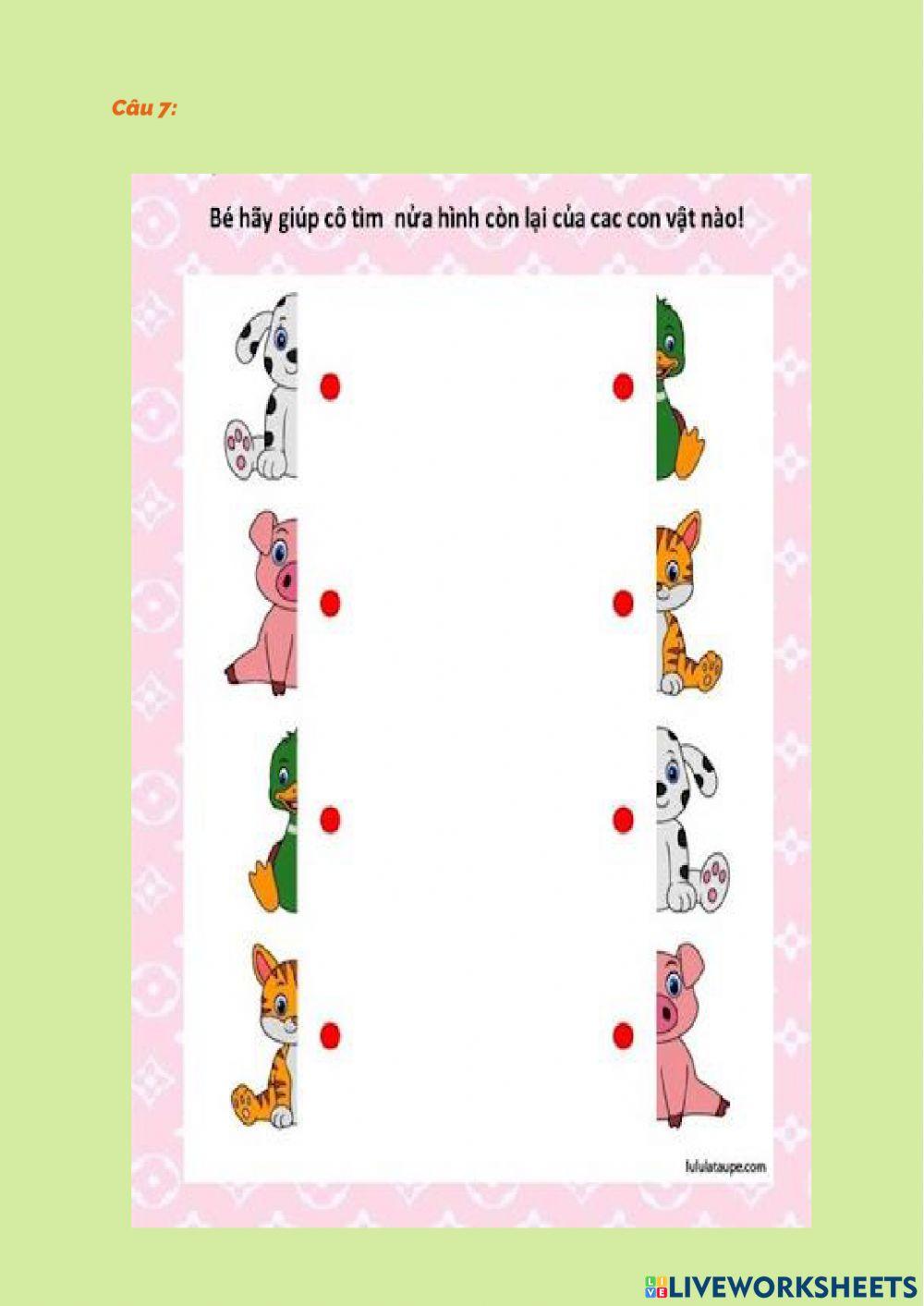 Những con vật đáng yêu