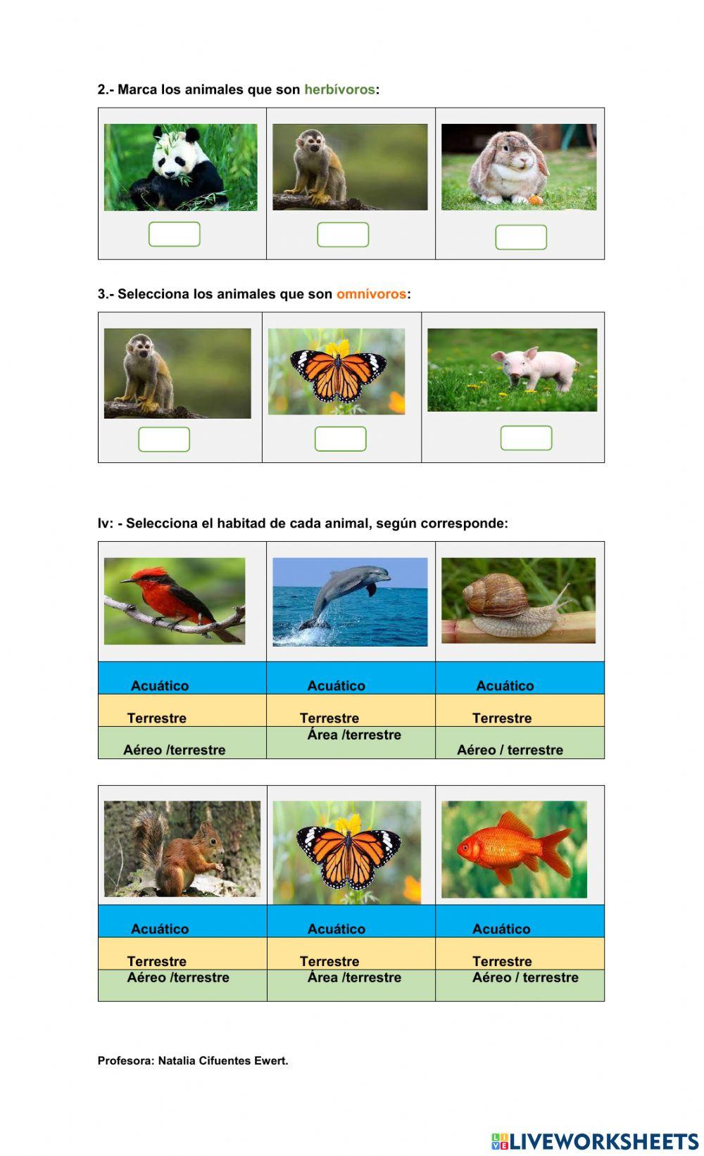 Evaluación de ciencias