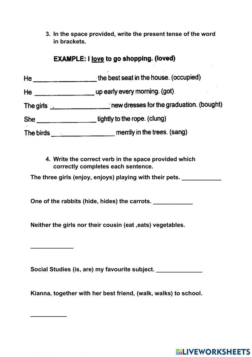 Grammar Review Exercise