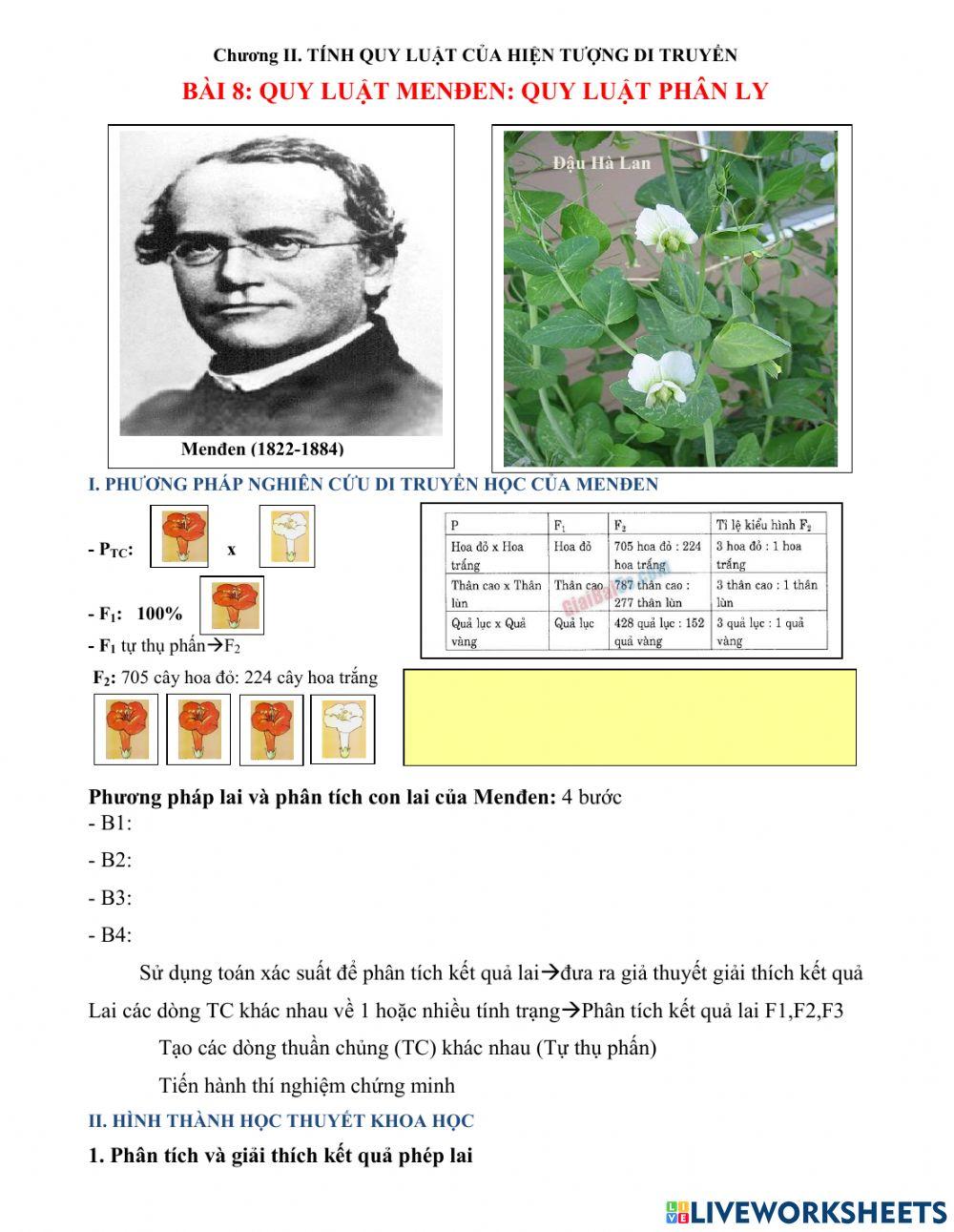 Bài 8.sinh 12.quy luật phân li