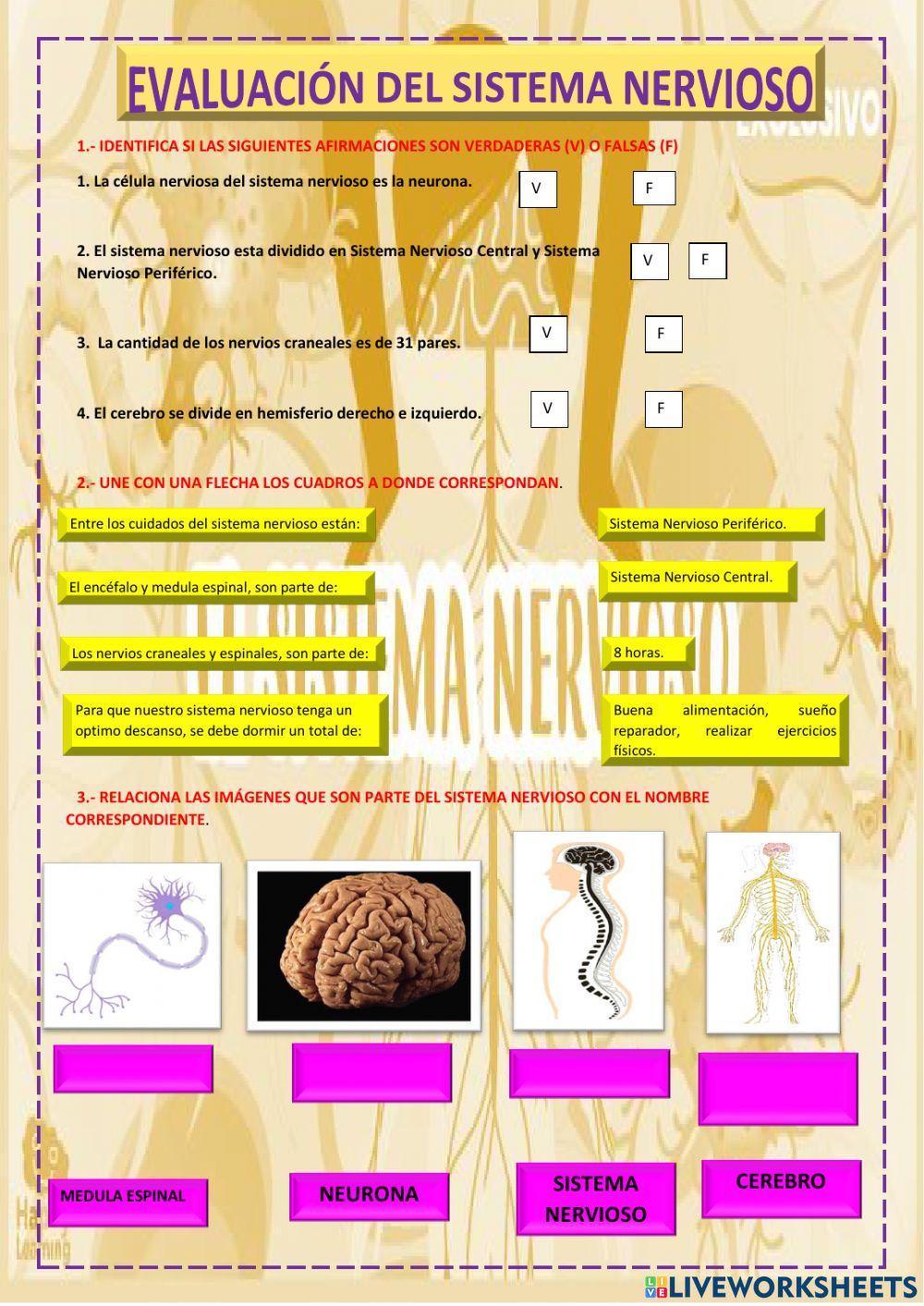 Evaluación de 3ro secundaria.