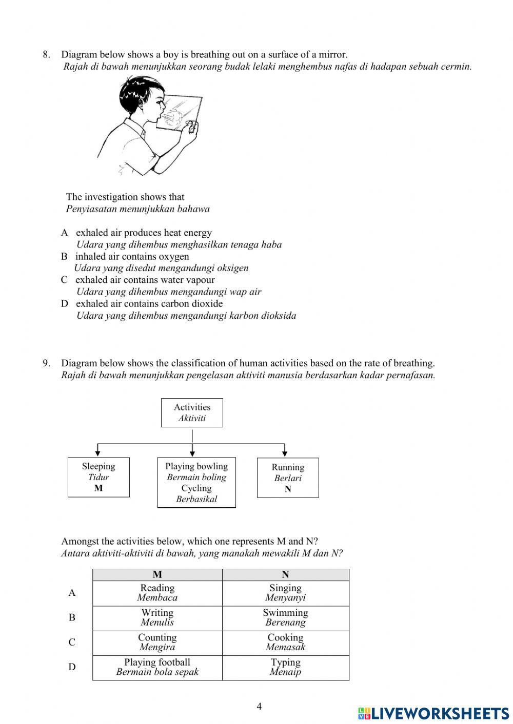 Year 4 Science Paper 1