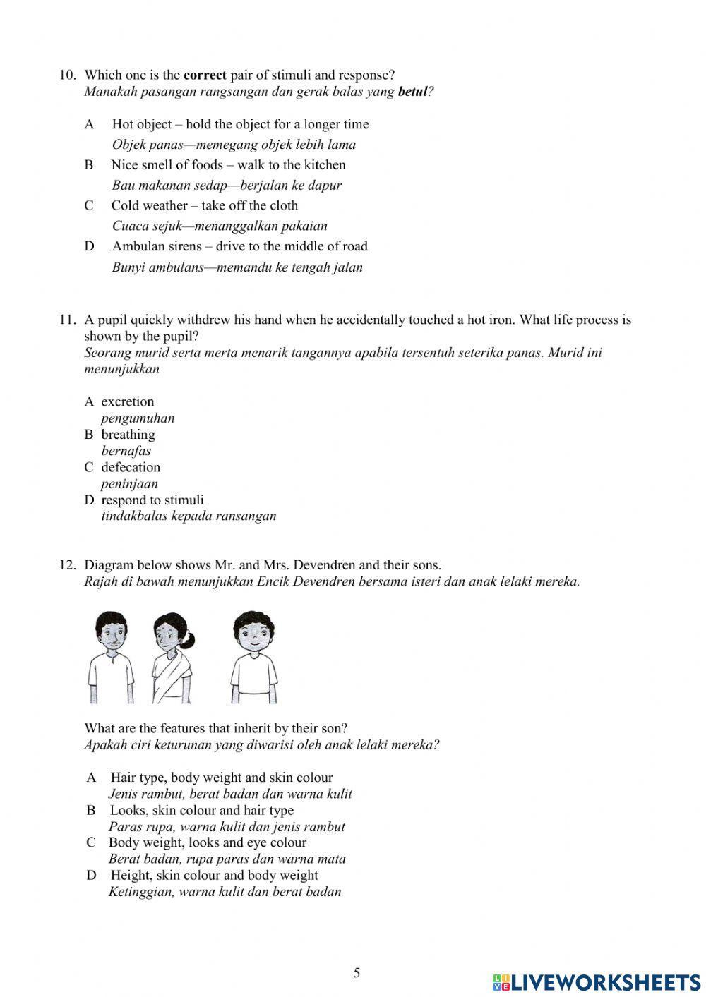 Year 4 Science Paper 1