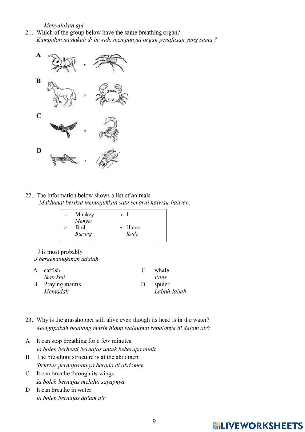 Year 4 Science Paper 1