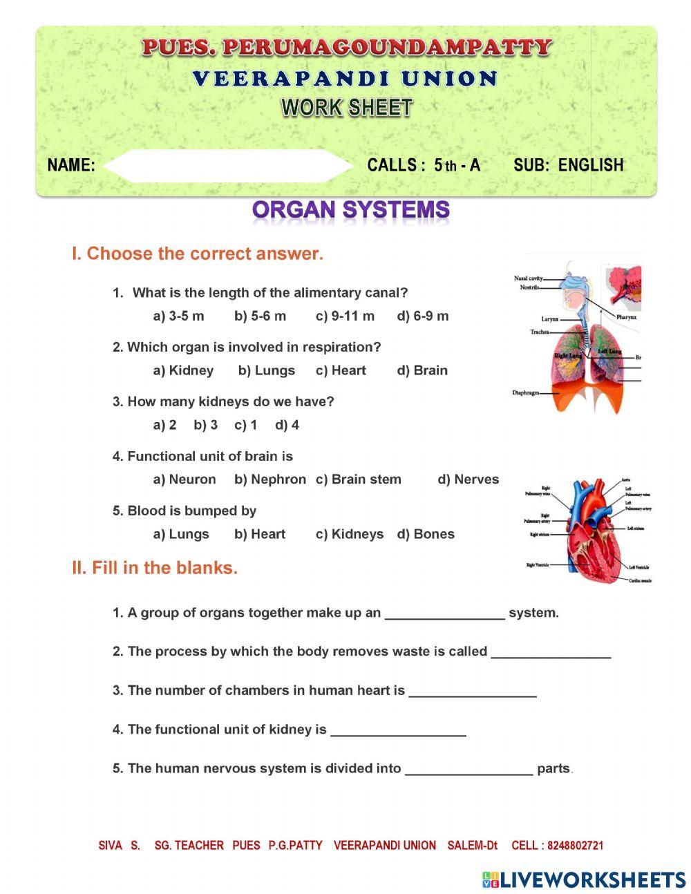 Organ system
