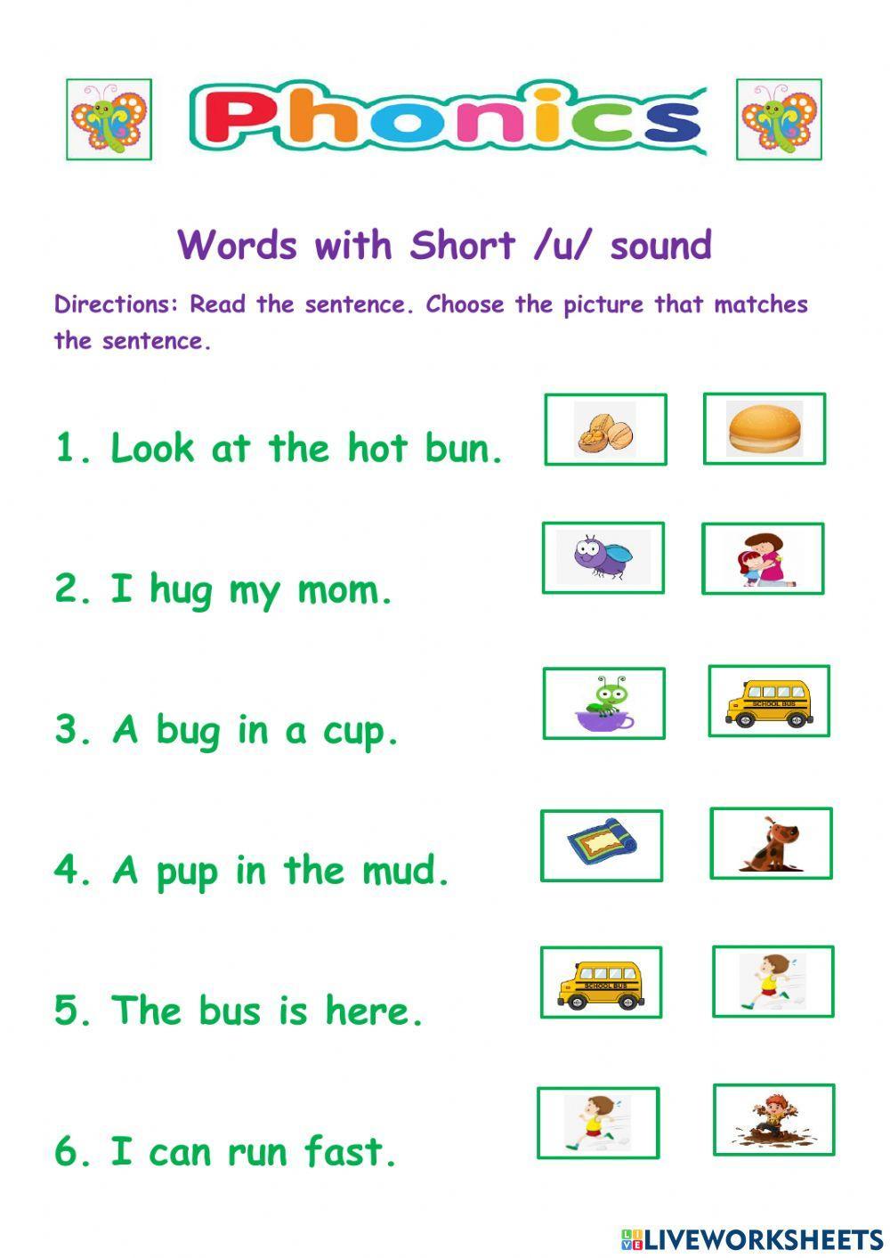 Words with short -u- sound Butterfly group