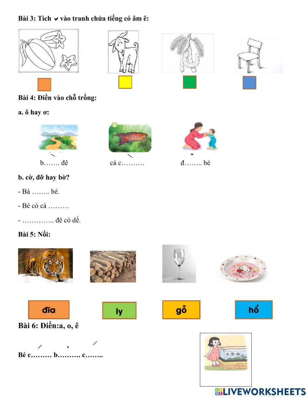 Ôn tập tổng hợp tuần 3