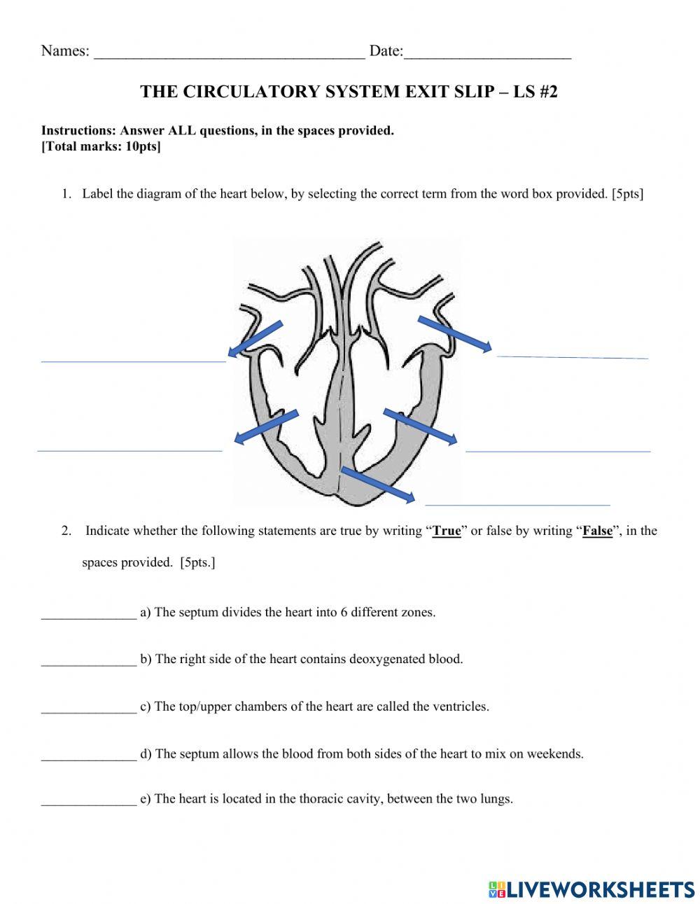 The Circulatory System Chambers Of The Heart Online Exercise For The Circulatory System Chambers Of The Heart Online Exercise For