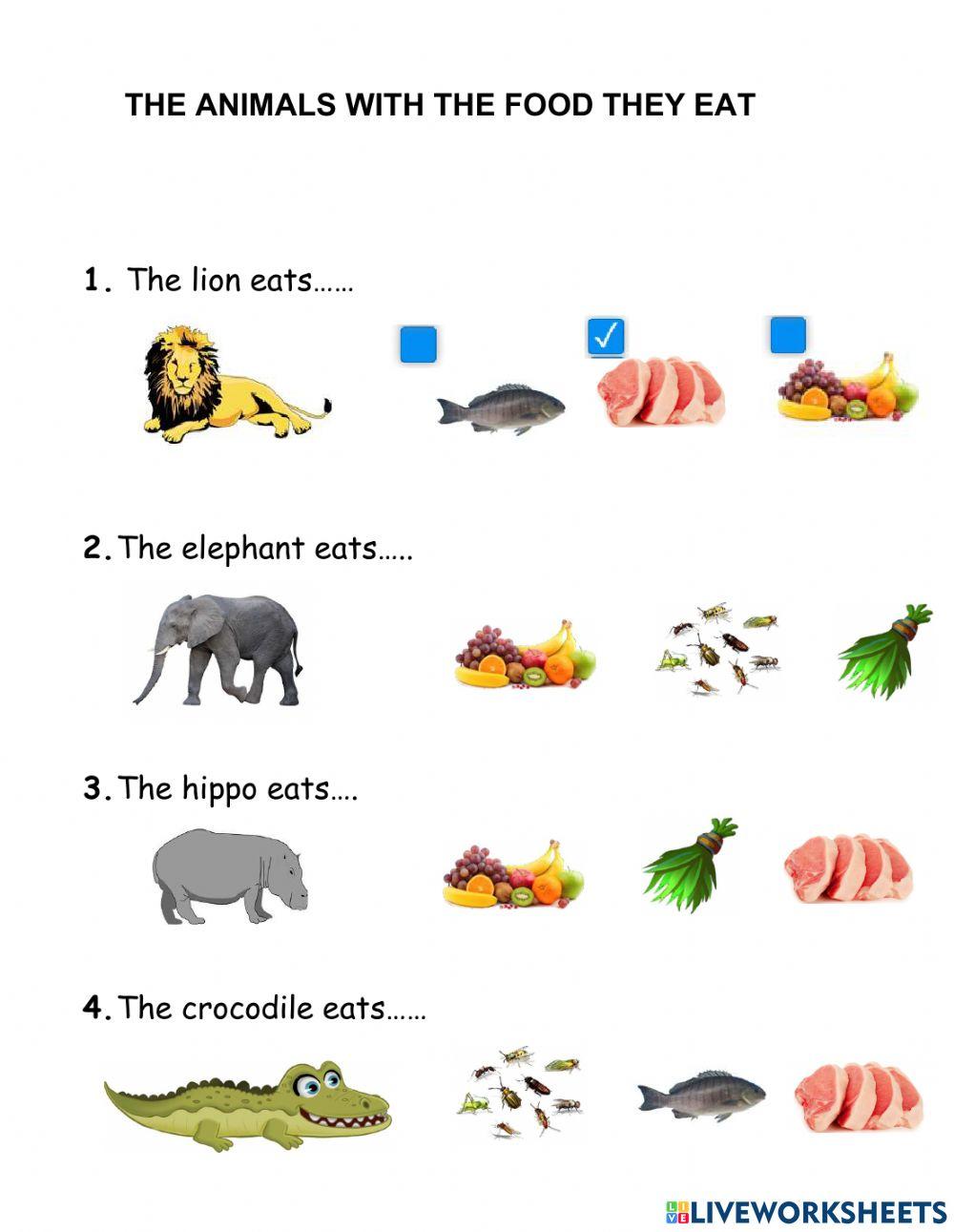Zoo Animal and Their Diets
