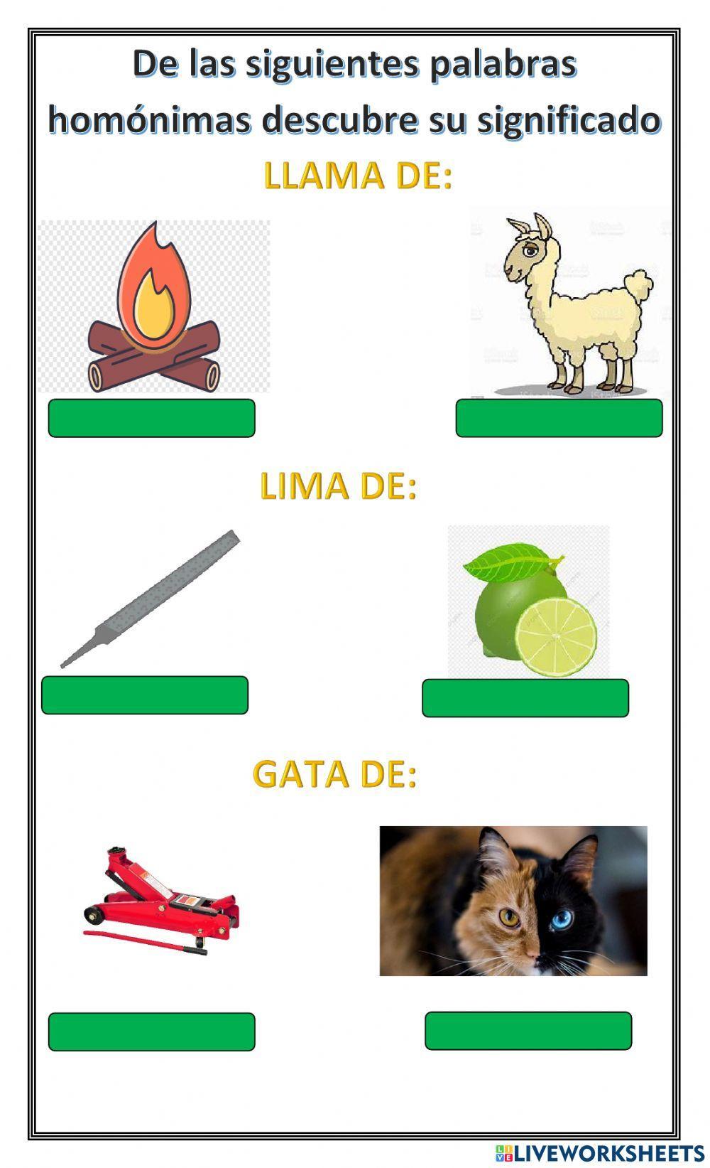 Palabras homónimas Palabras homónimas
