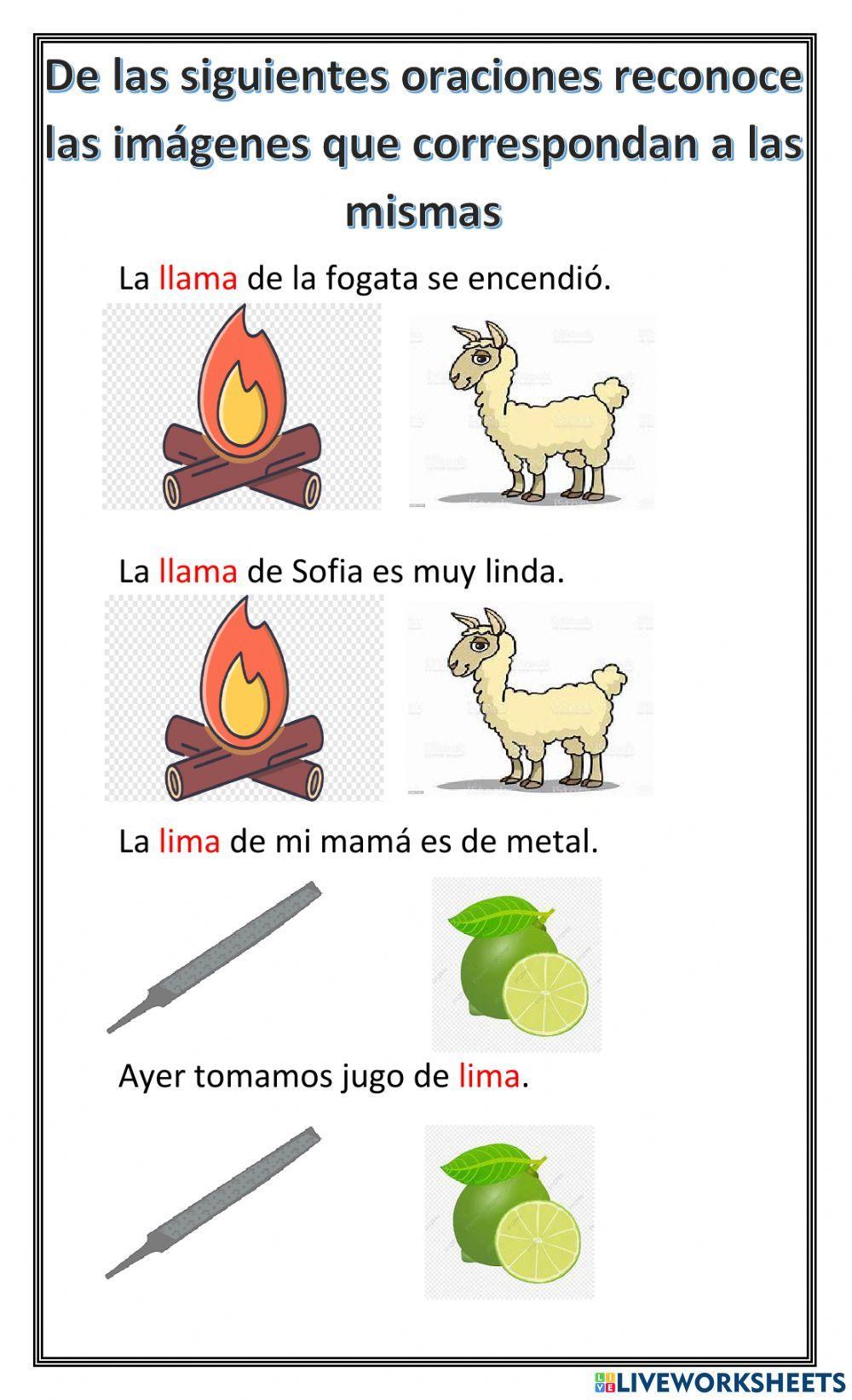 Palabras homónimas Palabras homónimas