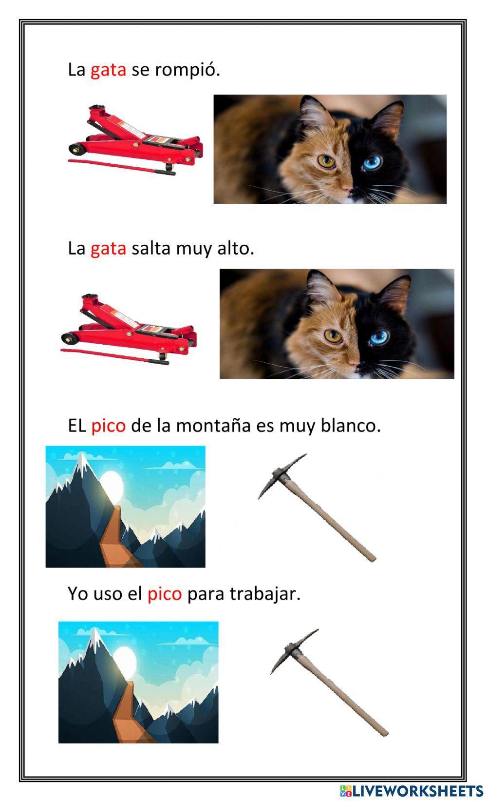 Palabras homónimas Palabras homónimas