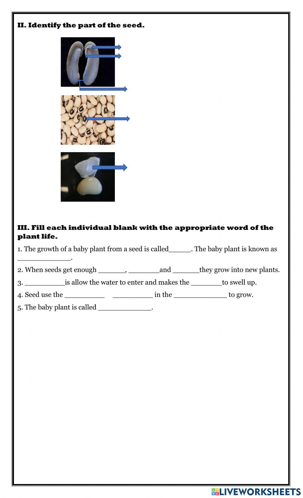Grade 5: Plant Reproduction