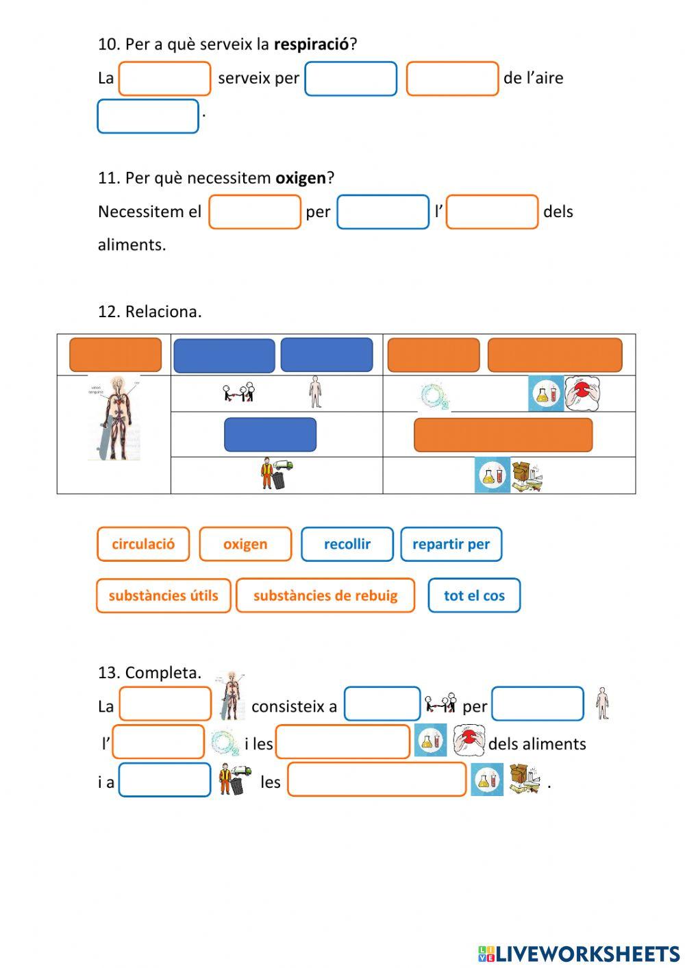Naturals - La nutrició (3)