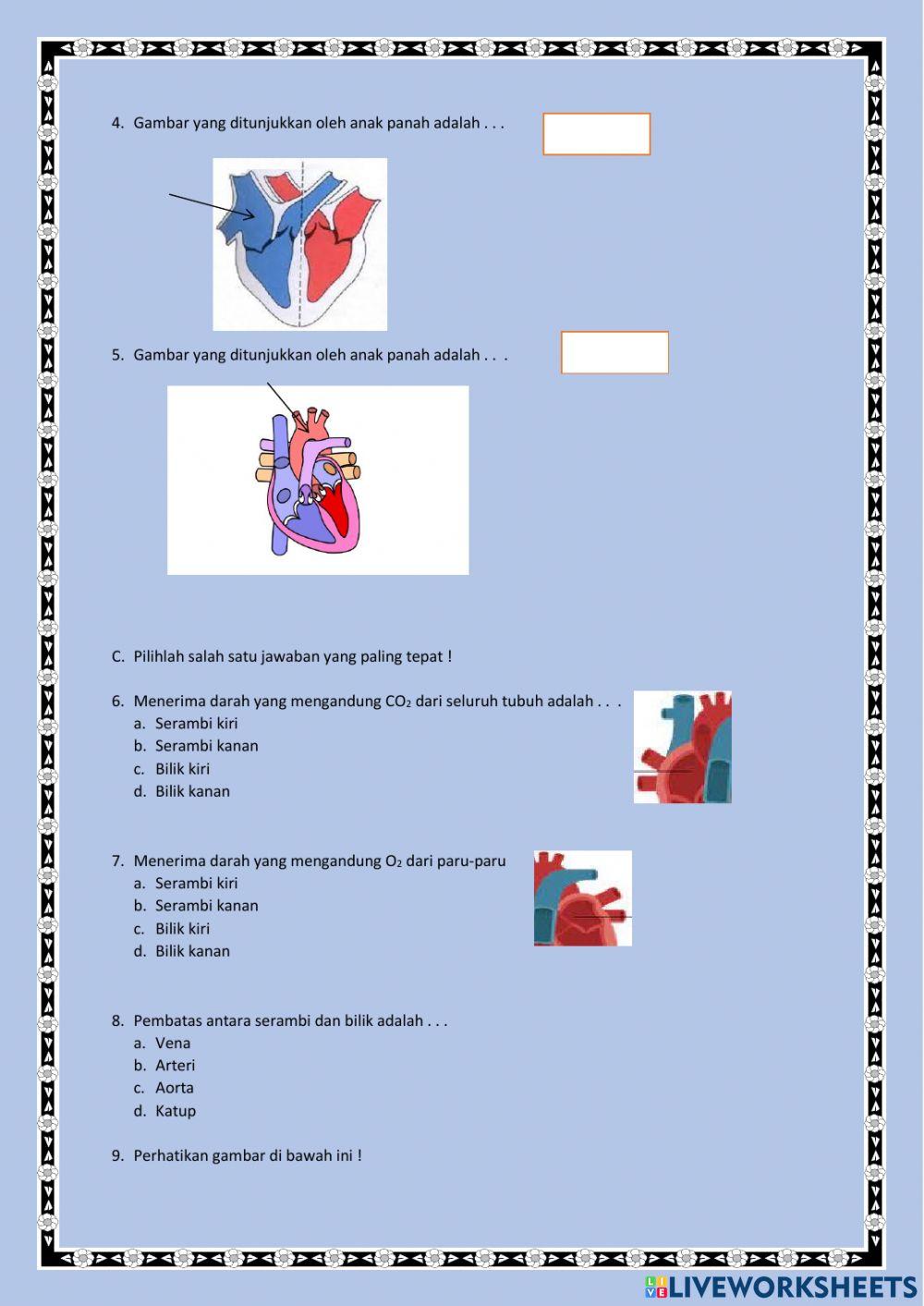 LKPD Peredaran Darah
