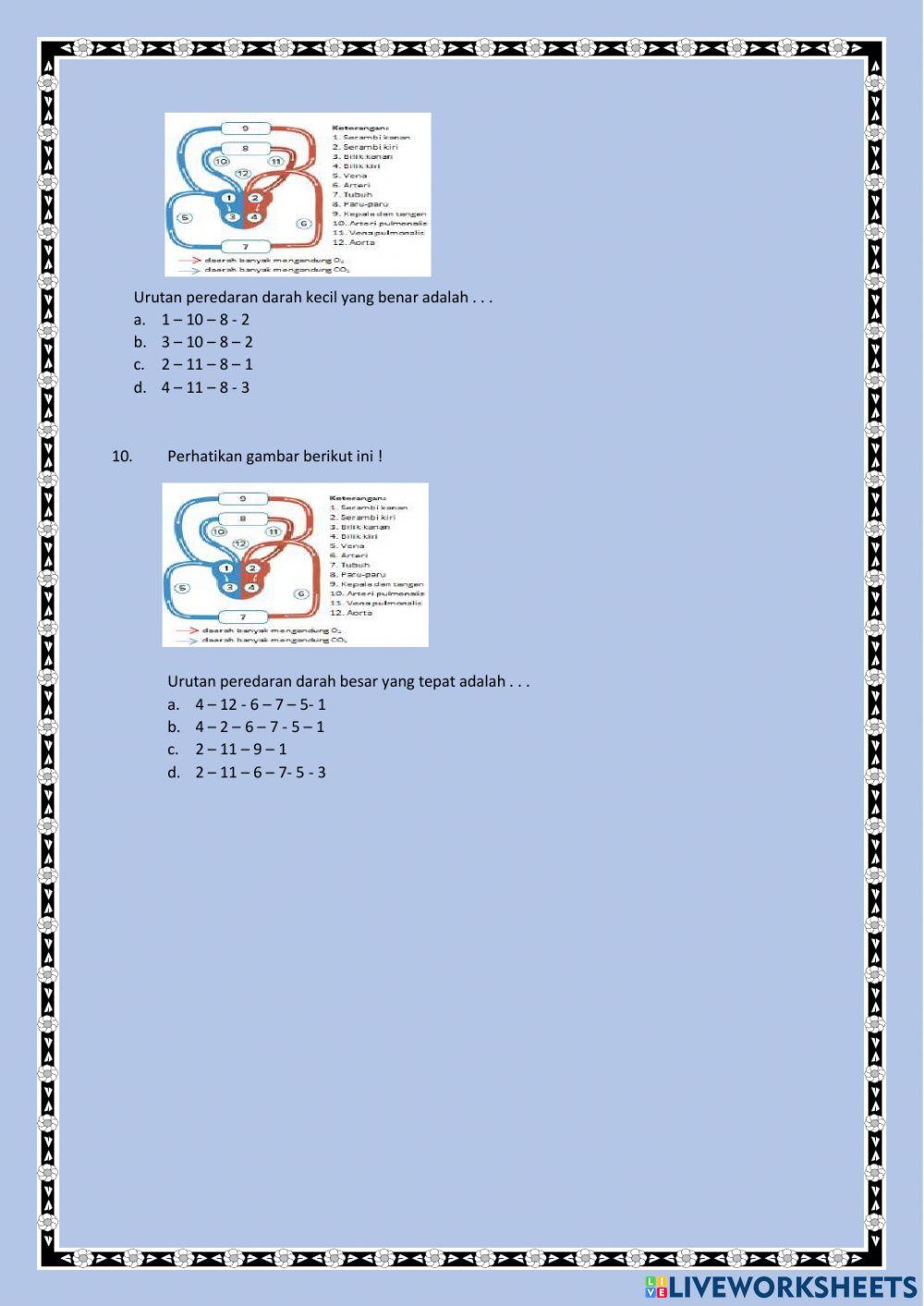LKPD Peredaran Darah