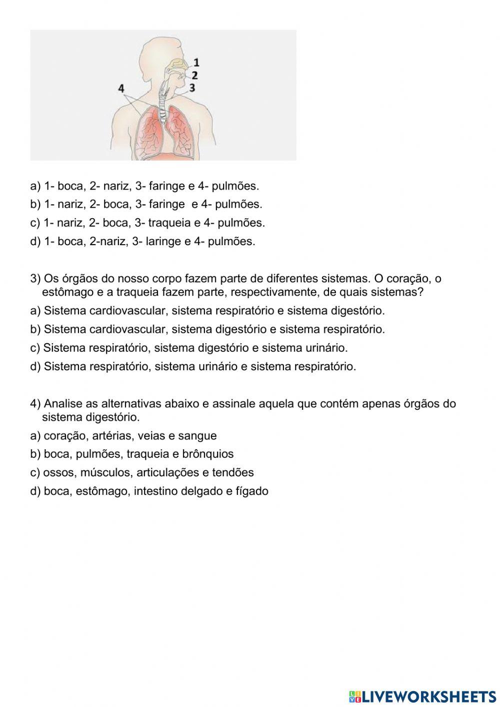 Sistemas do corpo humano