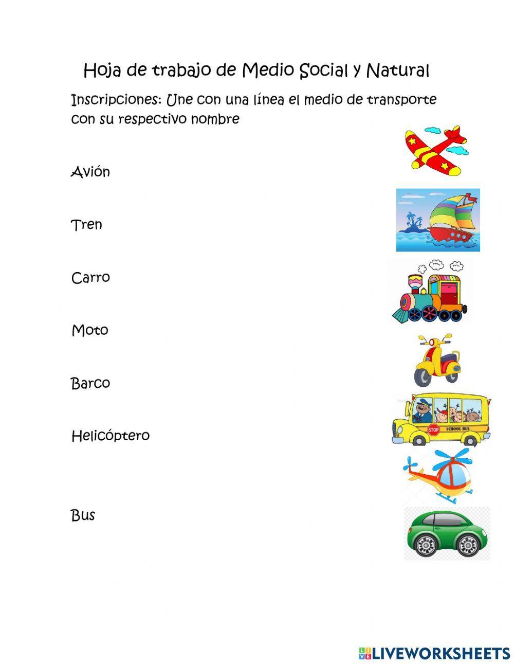 Medios de Transportes