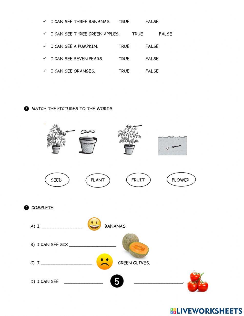 First explorers 1 - Unit 5
