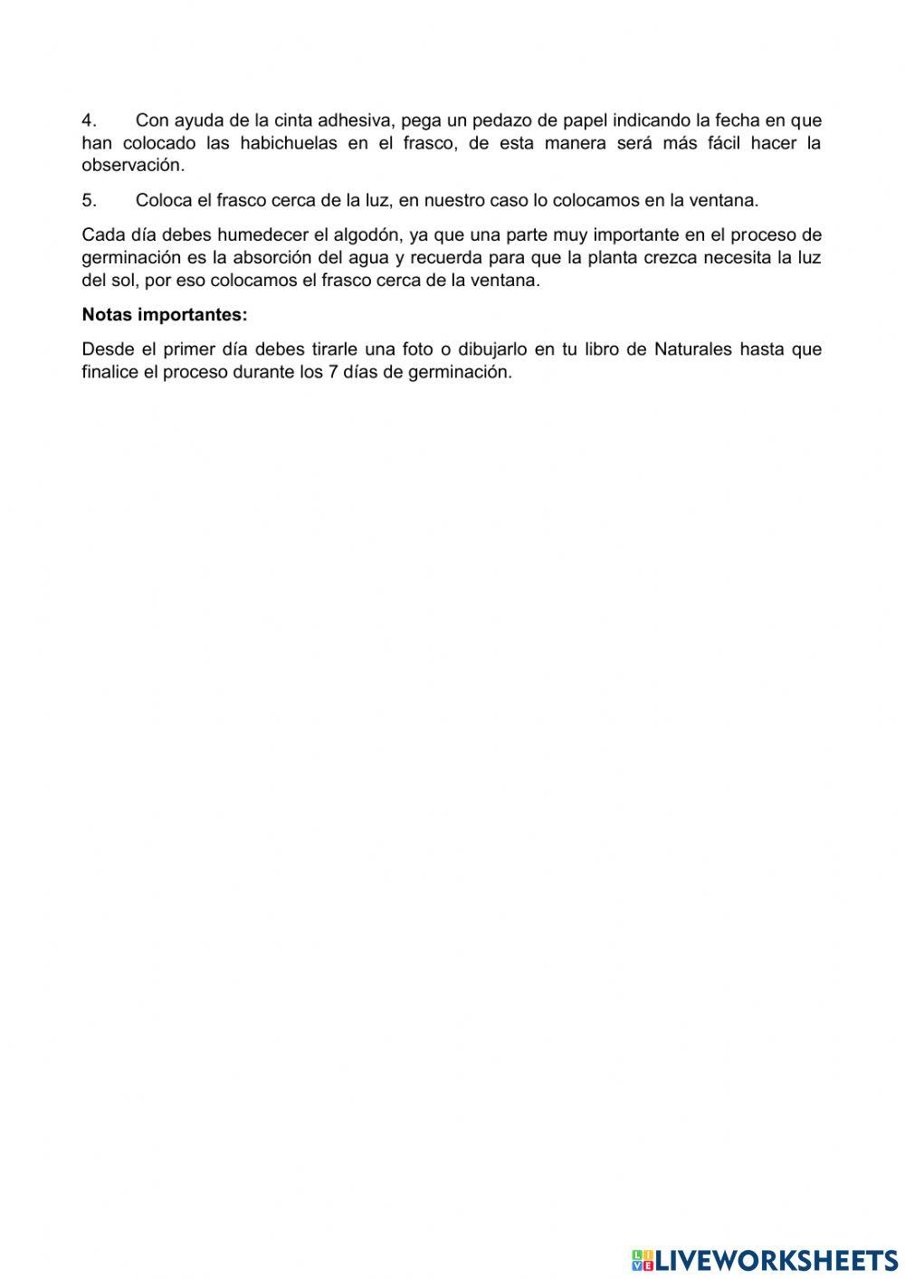 Las plantas -Germinación